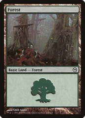 Forest (110/113)